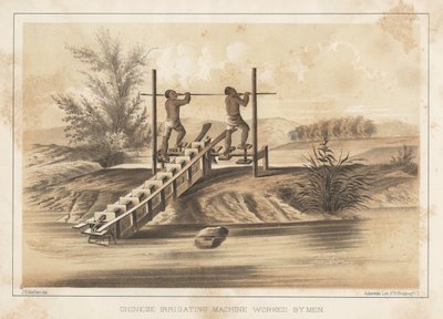 Chinese Irrigating Machine Worked by Men, 1855 by Meffert